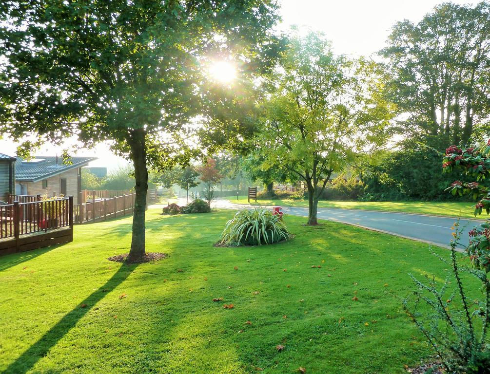 Hotel Devon Hills Paignton Pokoj fotografie